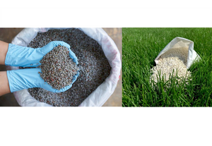 FERTILIZER