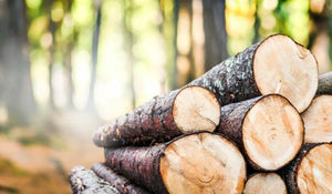 Premium Timber Logs: High-Quality Wood for Your Needs