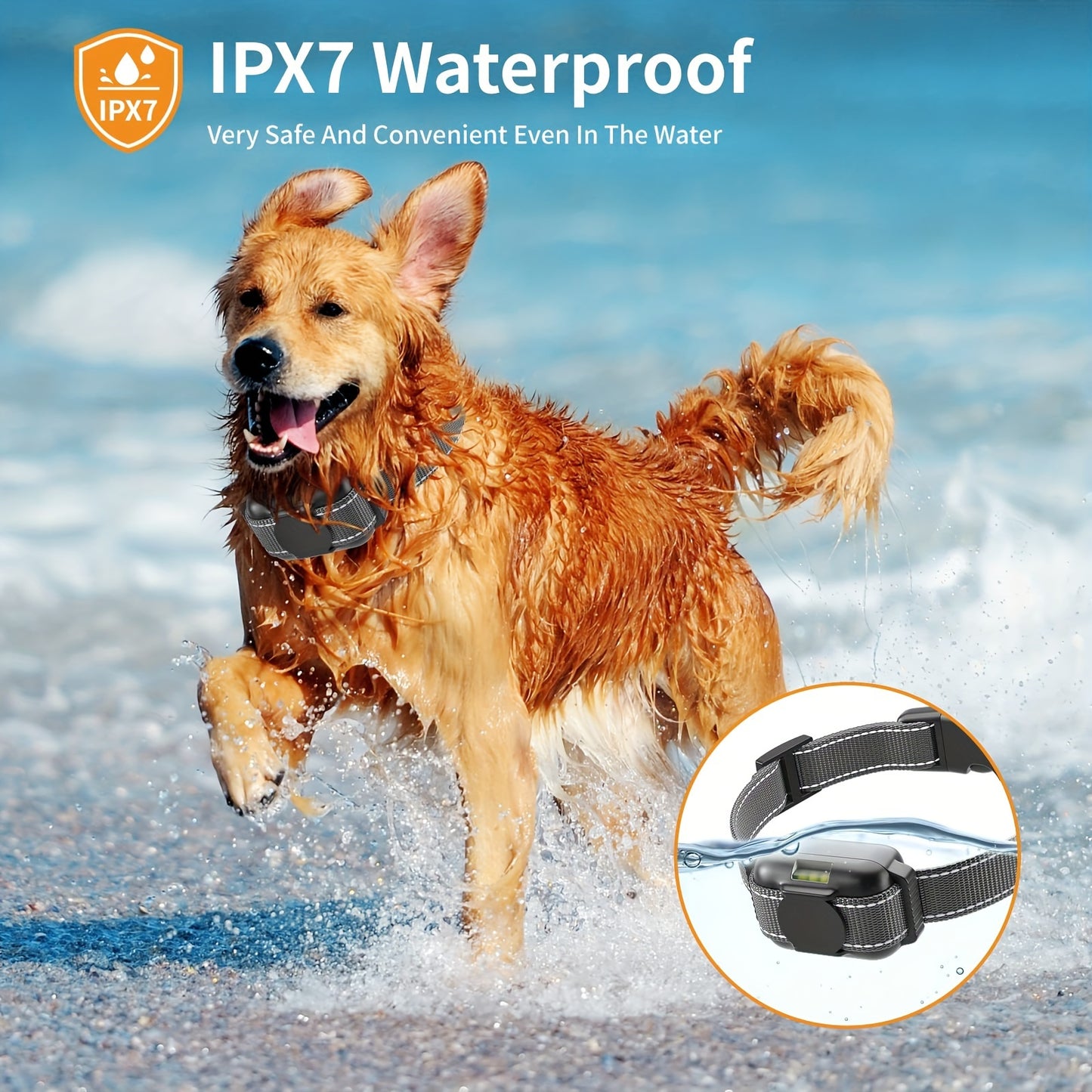Dog Training Collar with Remote, Rechargeable No-Shock Humane Electronic Training Collars with Vibration and Beep Modes, Adjustable Nylon Strap for Small to Large Dogs, USB Charging