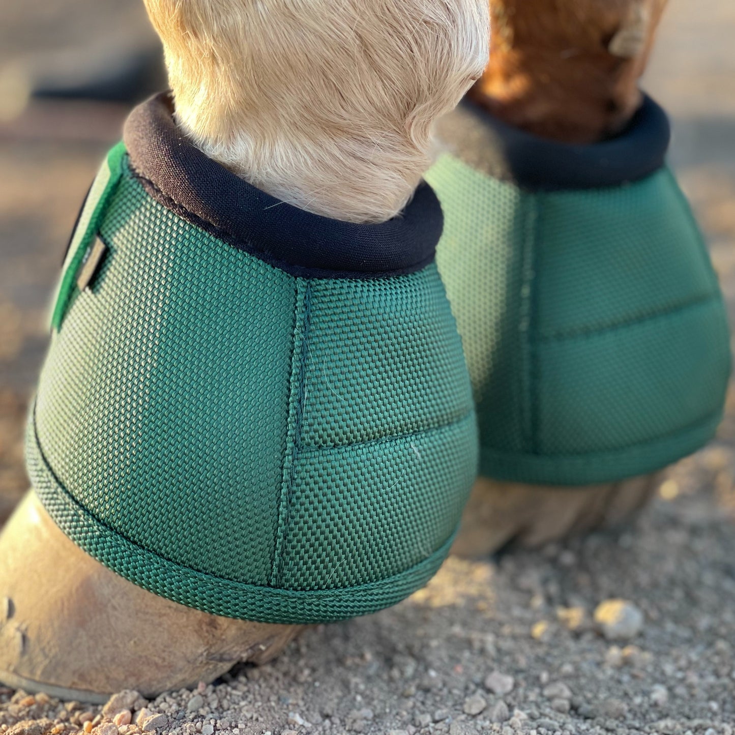 Horse Bell Boots, No Turn Horse Bell Boots