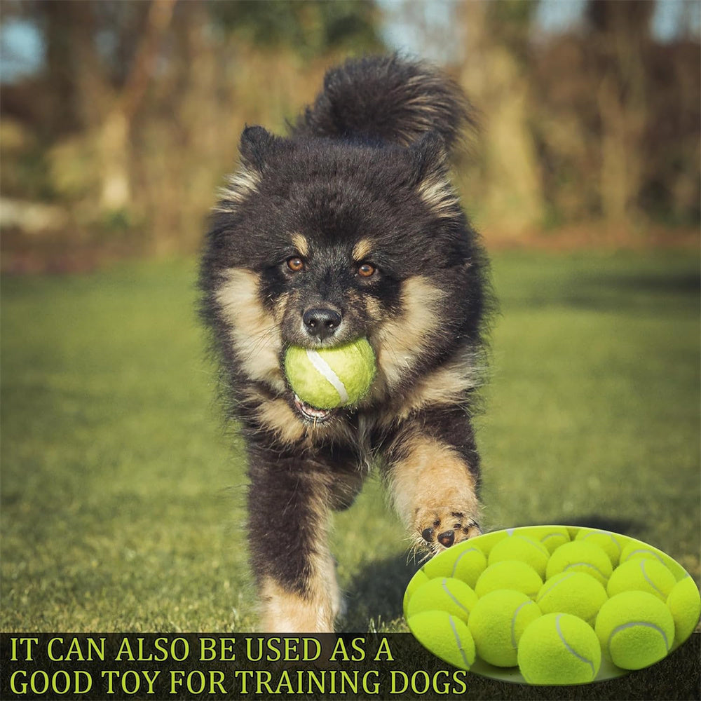 16 Pcs Tennis Balls: High-Quality Rubber Balls for Training and Exercise, Suitable for Adult Players