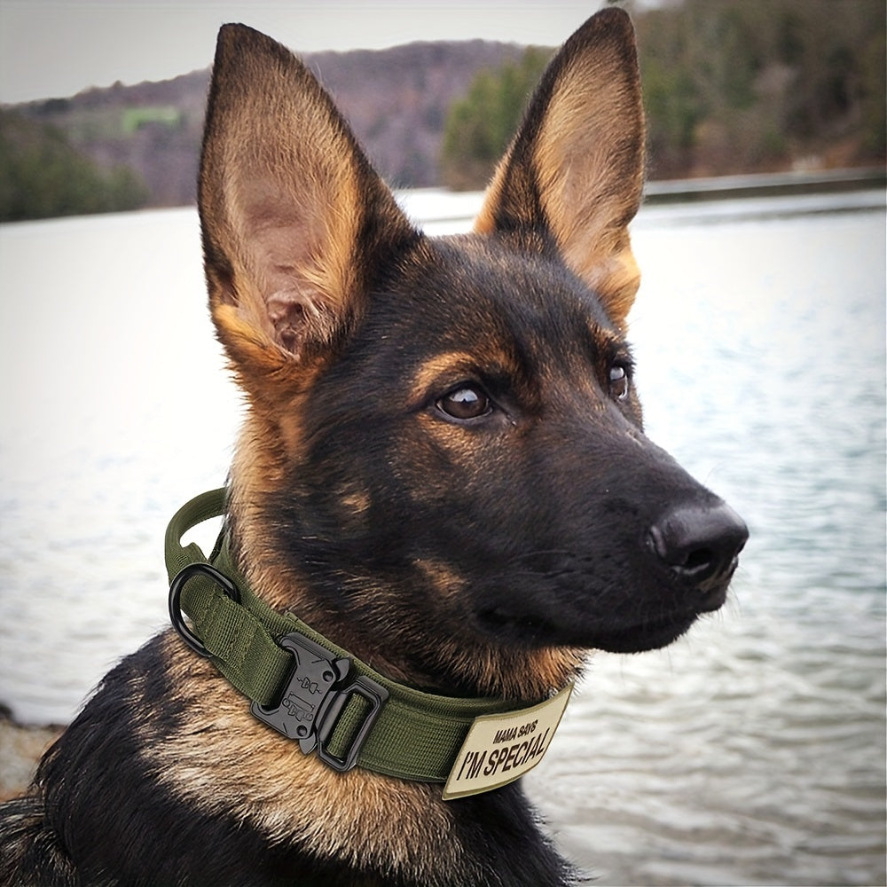 Tactical Dog Collar with Handle - Heavy Duty Collar for Medium and Large Dogs - Provides Ultimate Control and Comfort