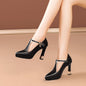 Women's Black Faux Cover Pointed-Toe Pumps with Rhinestone Buckle, High Block Heel Dress Shoes for Spring, Elegant & Stylish Design, Spring Dress Shoes | Sophisticated Style | Polished Synthetic Upper, High Heel Shoes