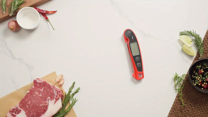 ThermoPro F05 Digital Meat Thermometer for Cooking with Motion Sensing, Food Thermometer for Kitchen BBQ Oil Grill Smoker Candy Thermometer