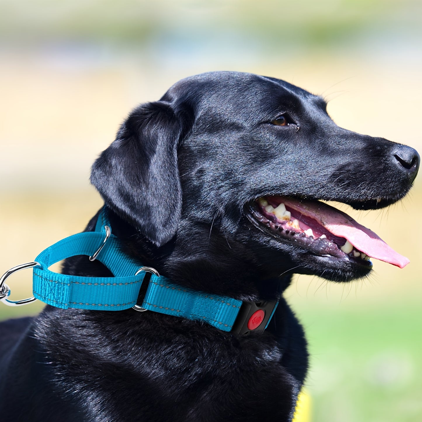 Joytale Martingale Collar For Dogs With Quick Release Buckle, Reflective Heavy Duty Puppy Collar For Safety, Adjustable Dog Nylon Collars For Small Medium Large Breed Dogs Walking Training